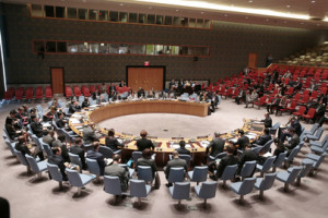 UN Security Council (c) UN/Evan Schneider