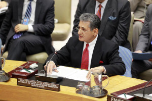 Special Representative Farid Zarif. UN Photo/Rick Bajornas