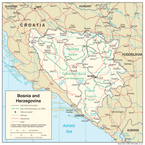 BiH Map