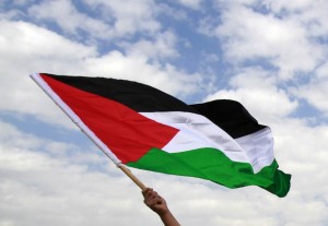 Palestine Flag